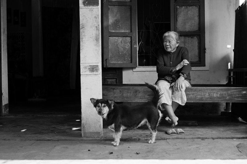 вьетнам с верным другом фото превью