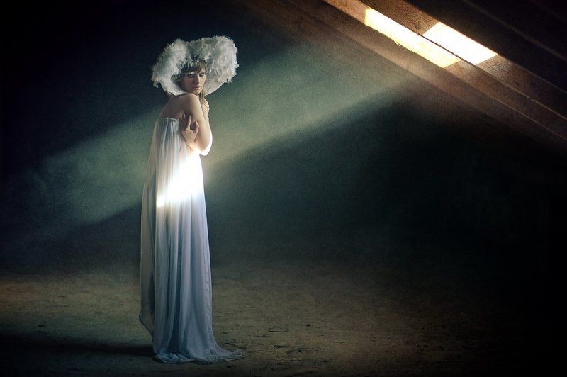 White Bird фото превью