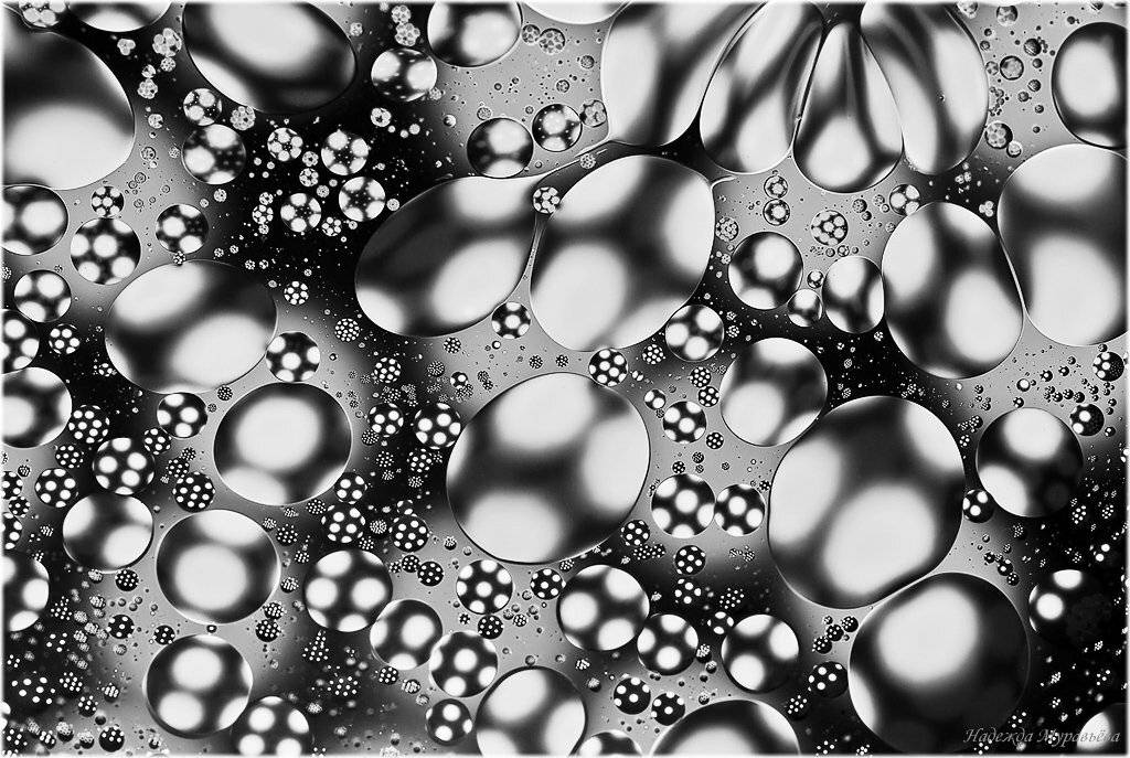 визуализация, sergio, tacchini, Надежда Муравьёва