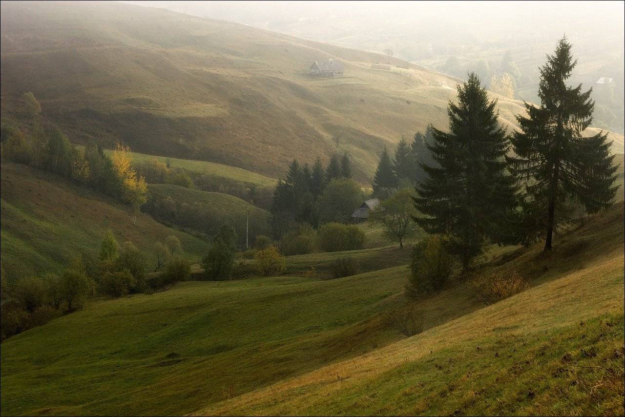 , Анатолий Гордиенко