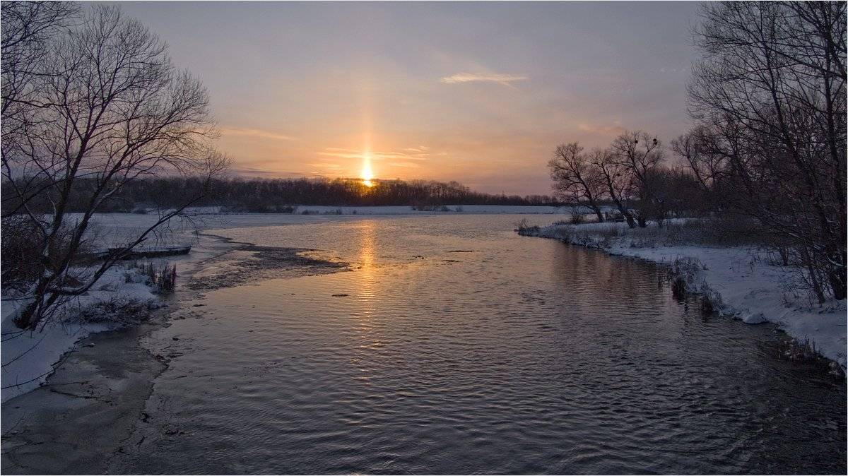 , Николай Шахманцир