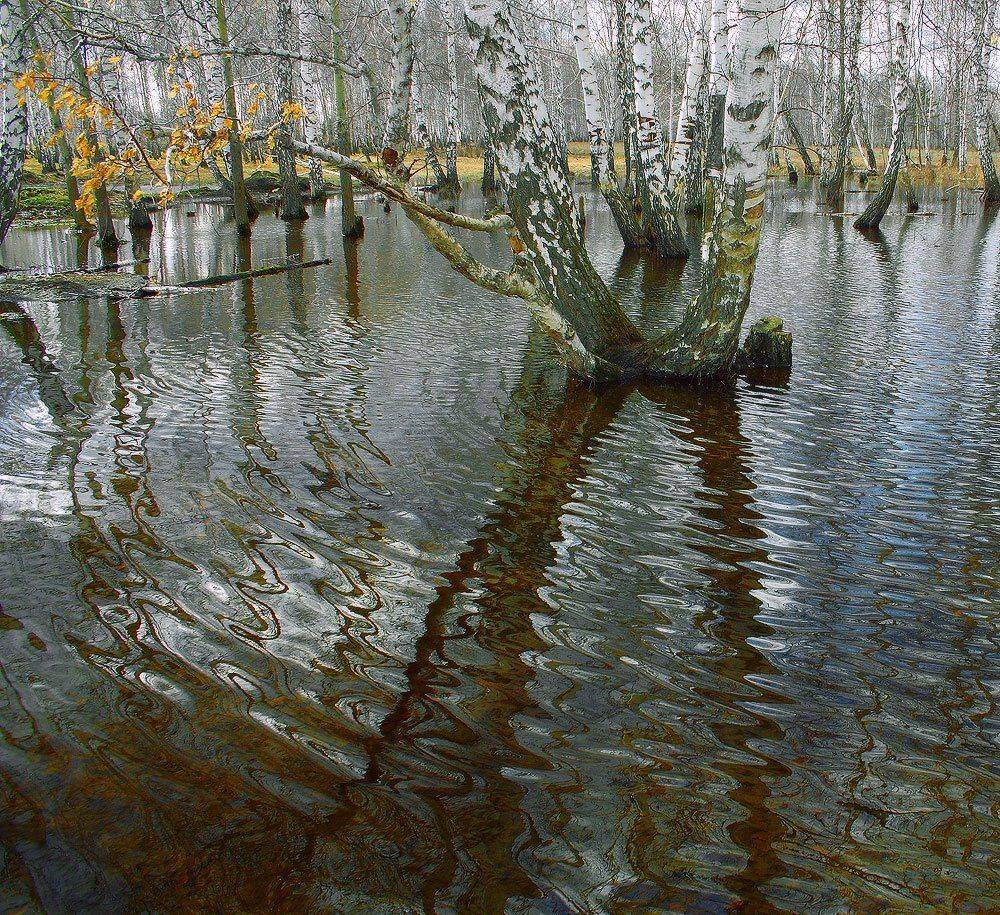 , Николай Морский