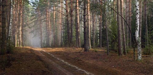 По апрельской дороге