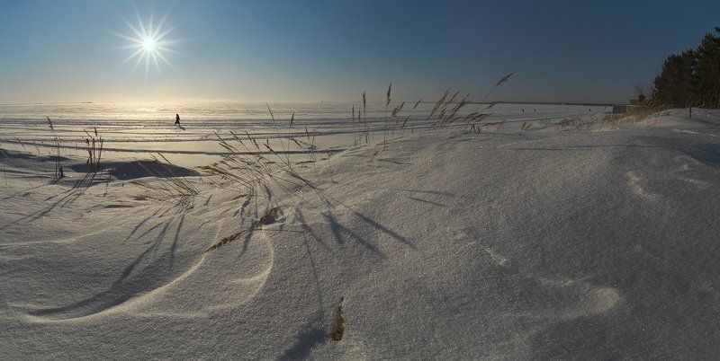 финский залив, дюны, март, контровой свет, весна, контровой ~84~ фото превью