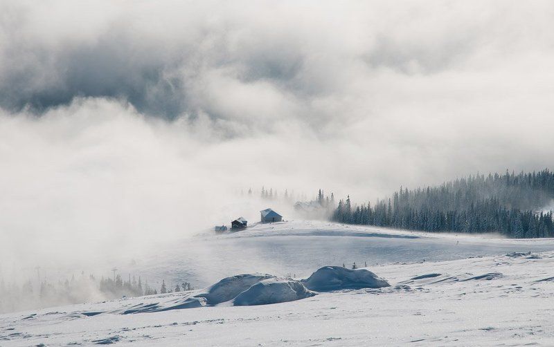 Туманное утро в Карпатах фото превью