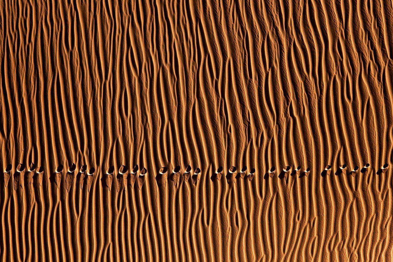 , Mohammadreza Momeni