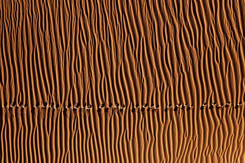 Footprint фото превью