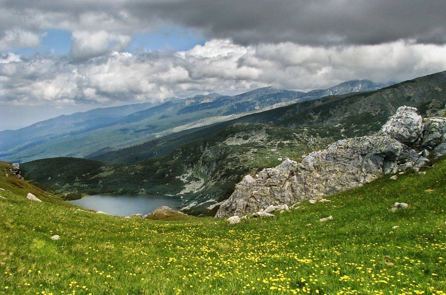 , Ирина Костова