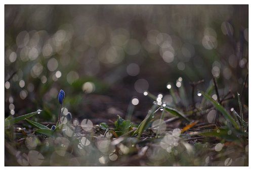 Открытие весеннего сезона