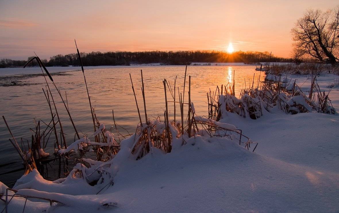 , Николай Шахманцир