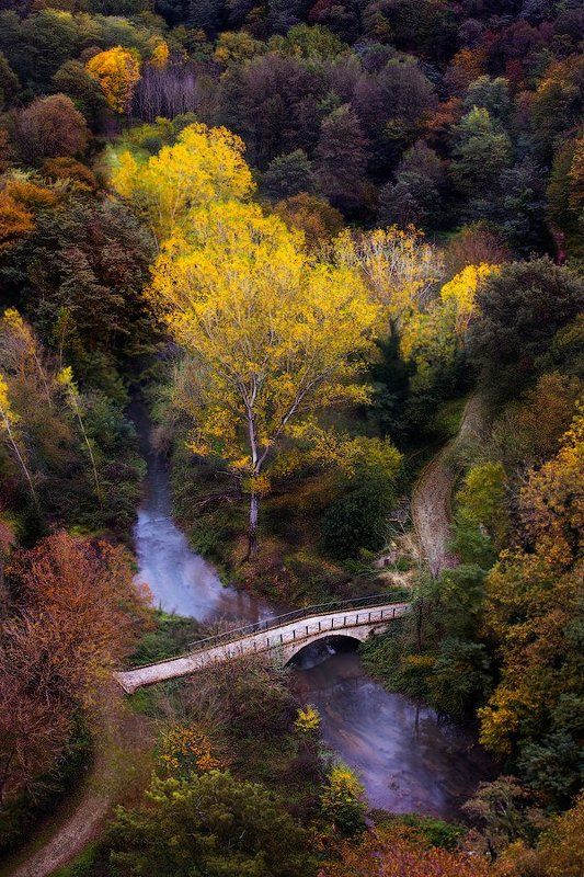 Autumn фото превью
