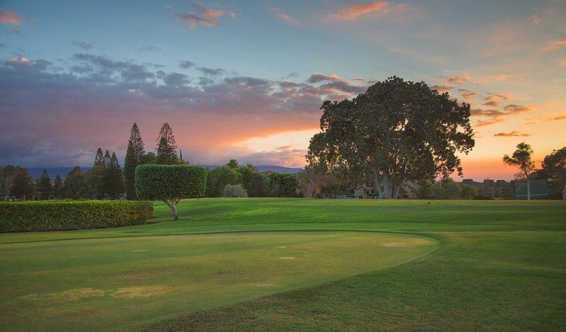 А не махнуть ли нам на Гавайи поиграть в гольф? фото превью