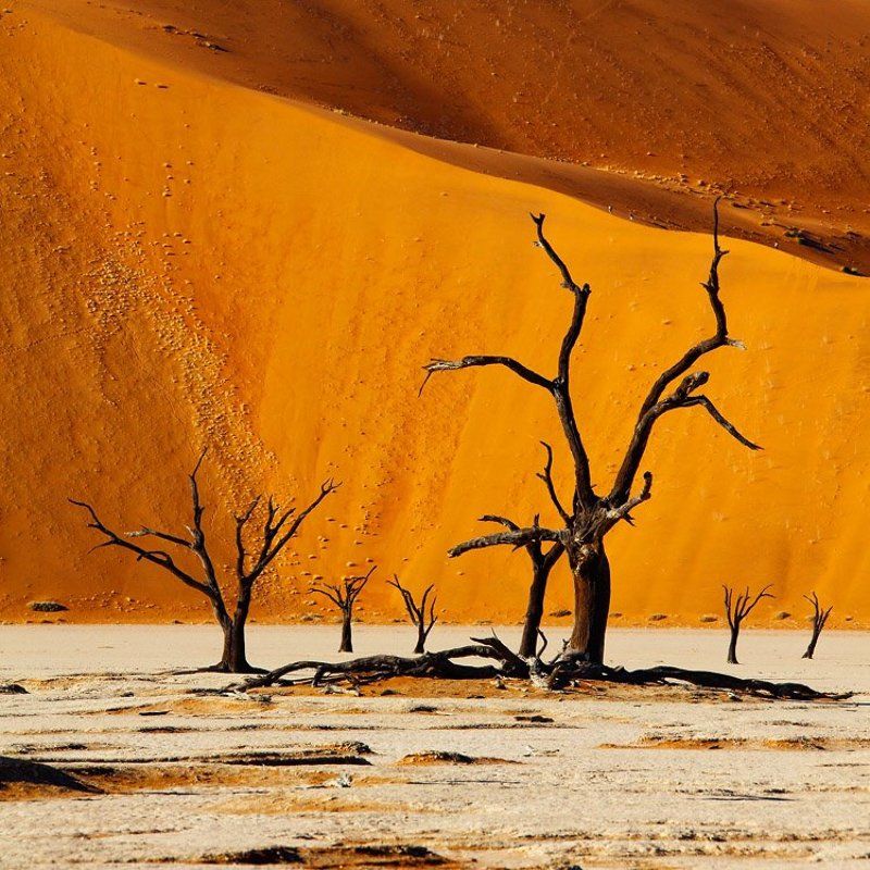 намибия Фантастический реализм Намибии фото превью