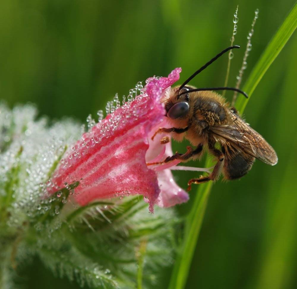 , Игорь ФУММ