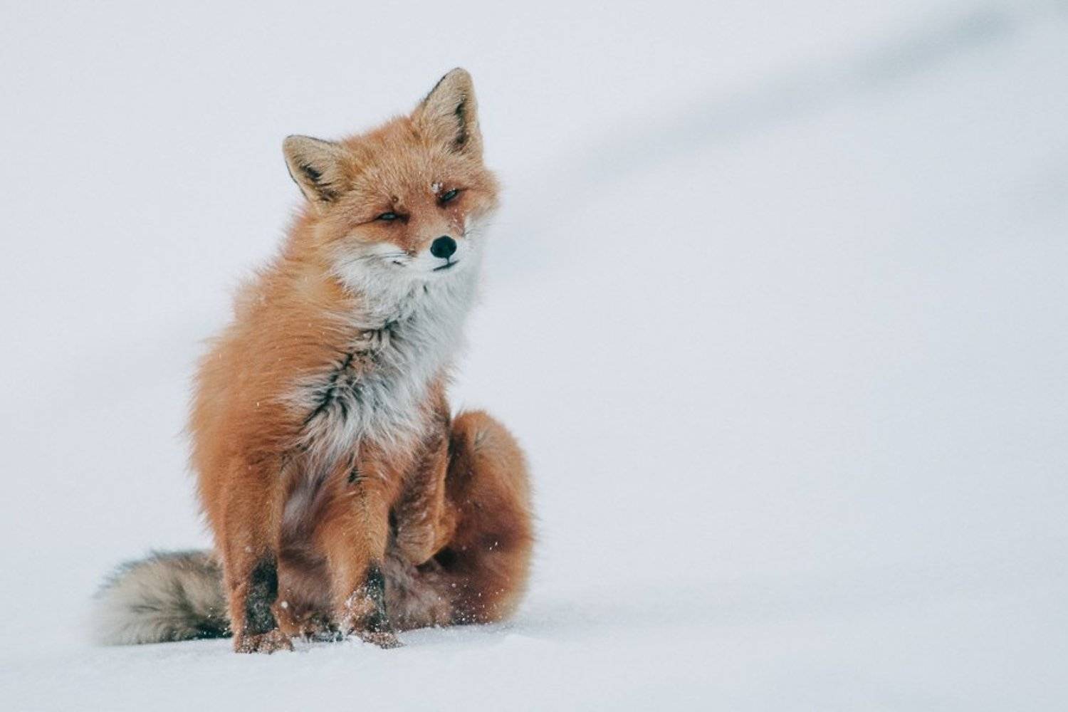 , Иван Кислов