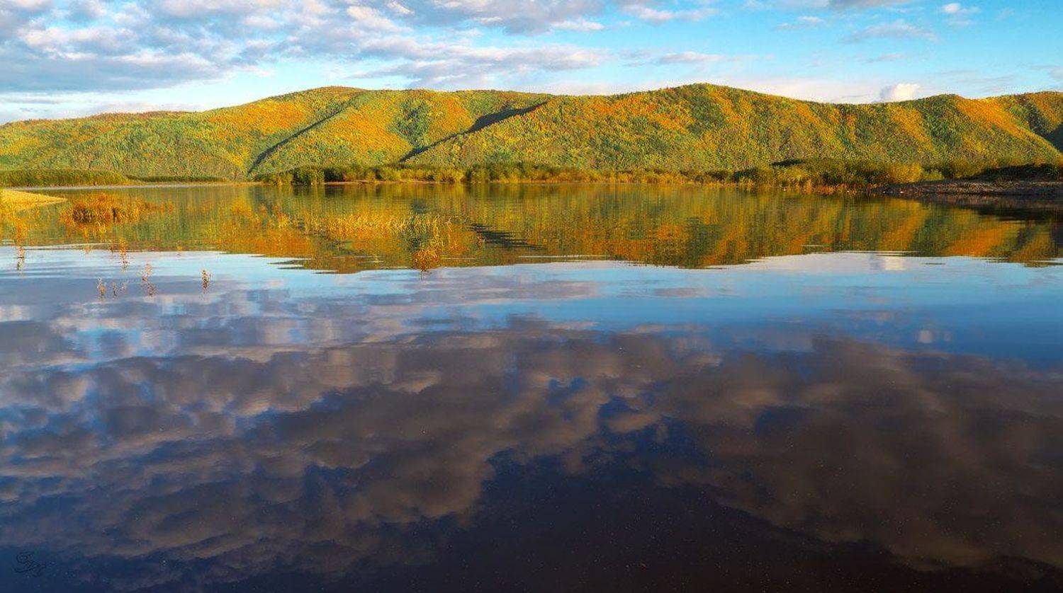 , Виктор Бут