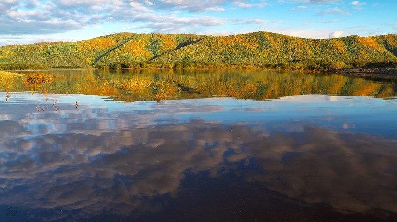 * * * фото превью