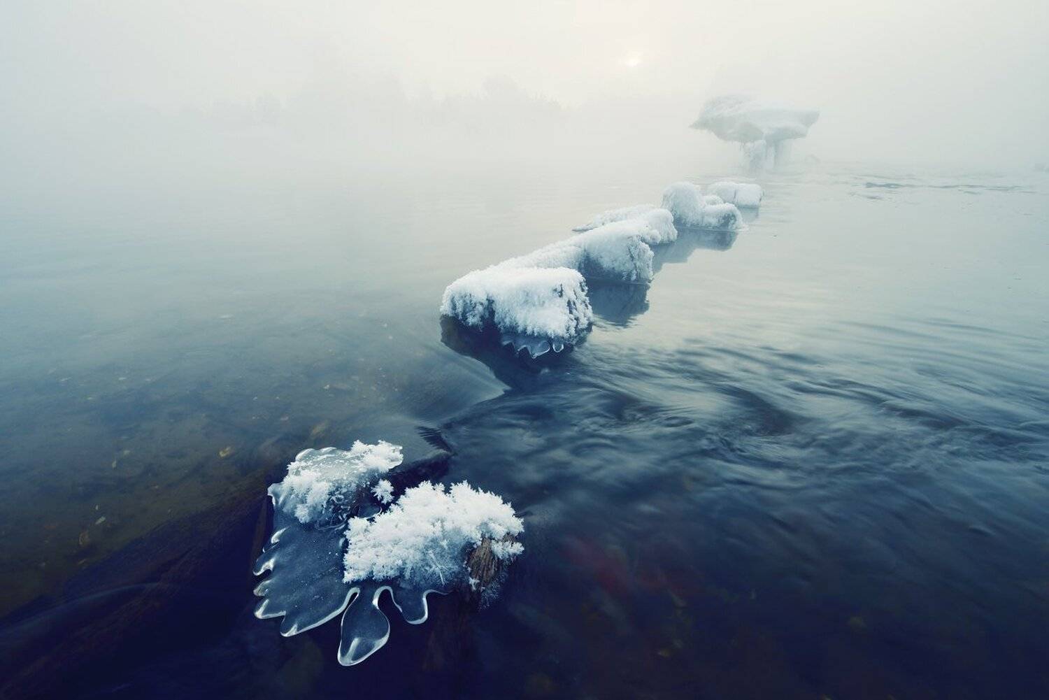 , Максим Евдокимов