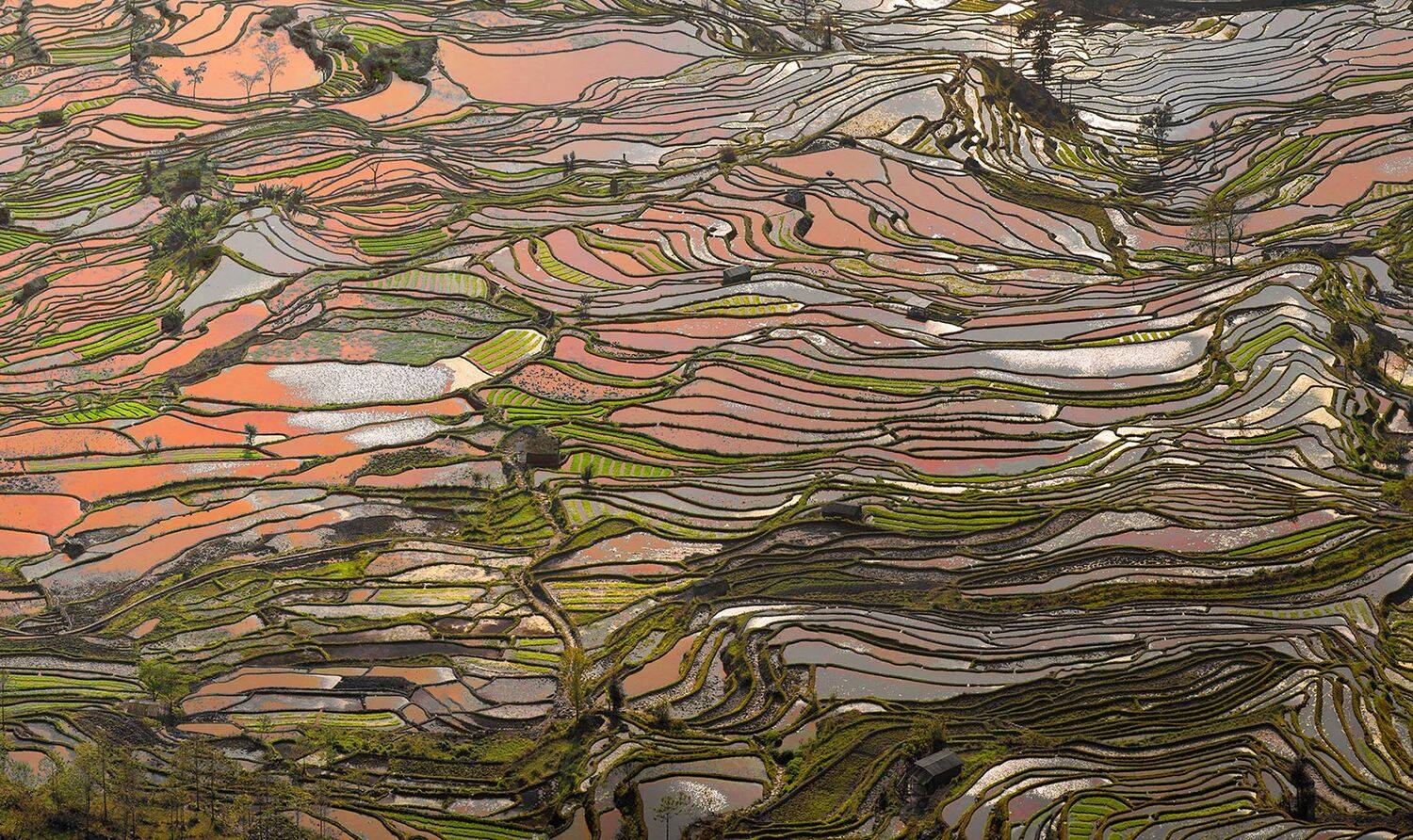 китай, рисовые, террасы, Yury Pustovoy