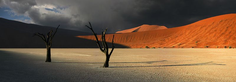 Hellabillylullaby фото превью