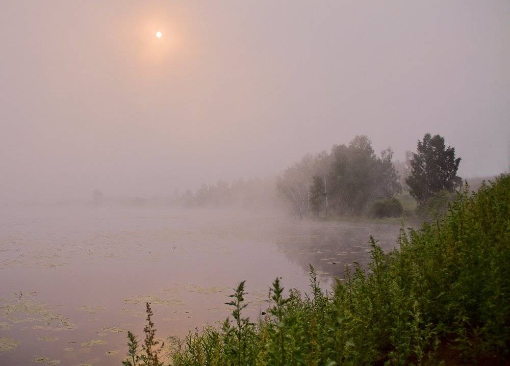 , Николай Морский