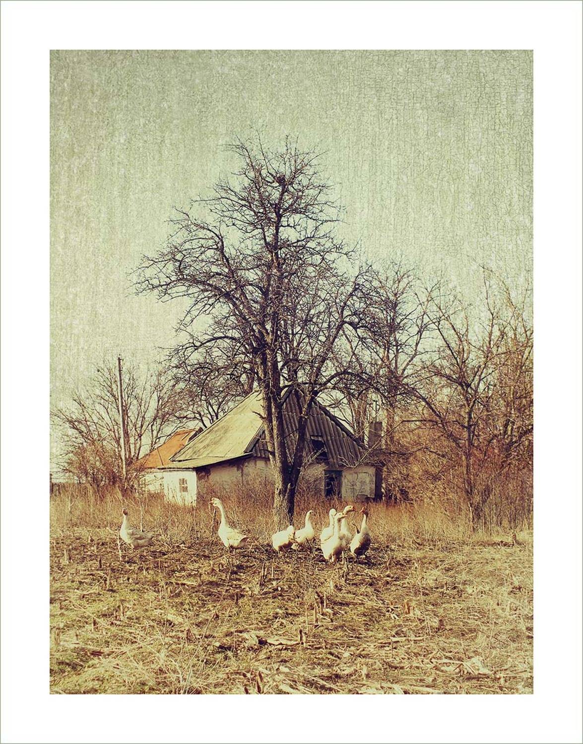 , Радковская Наталья