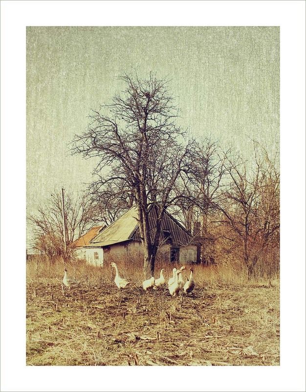 Жили у бабуси... фото превью