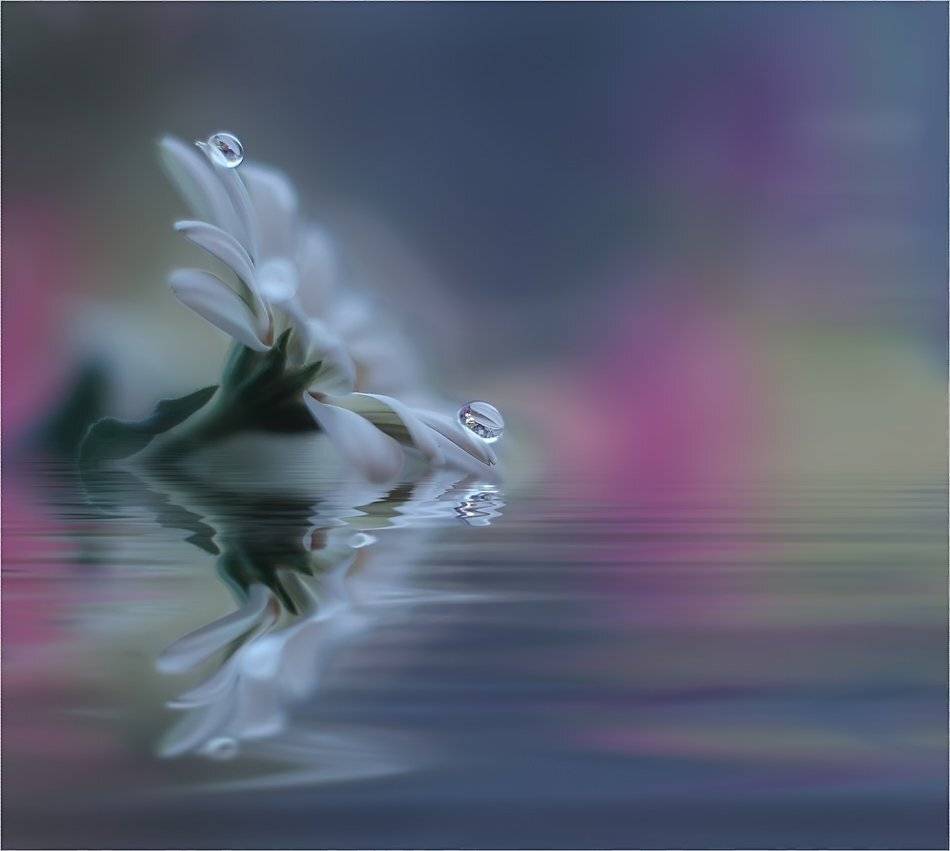 , Juliana Nan