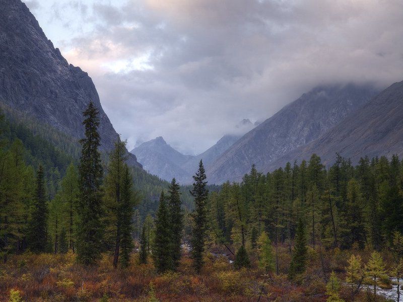...Тихое утро Маашея... фото превью