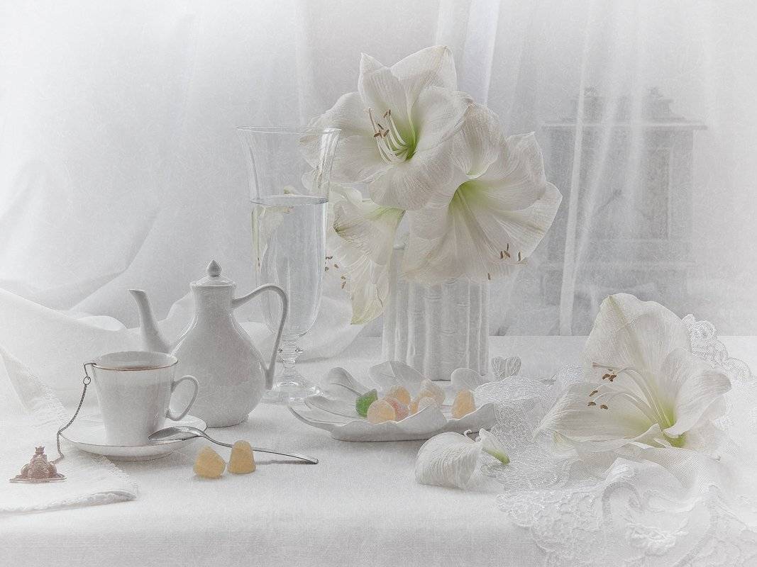 , Гелена Гленкова