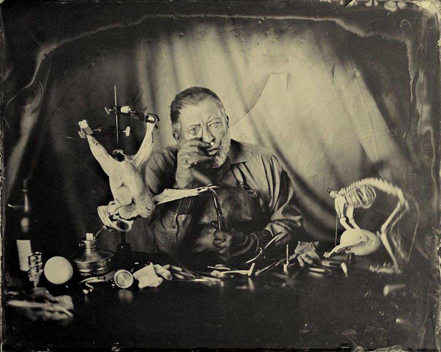 wet, plate, collodion, ambrotype, Sergey Potapov
