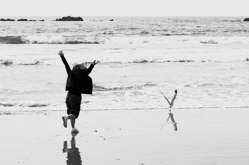 los angeles, santa monica, freedom Double V фото превью