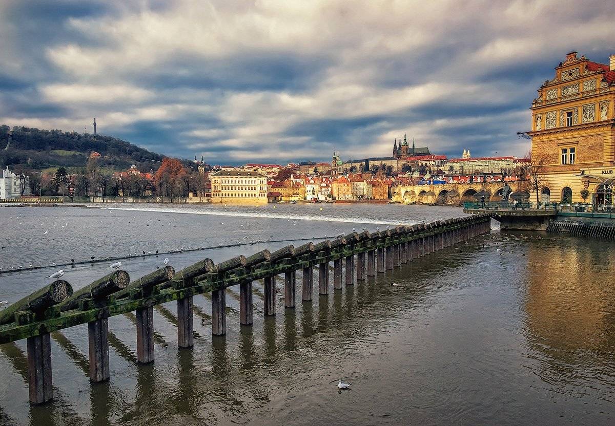 , Игорь Мелекесцев