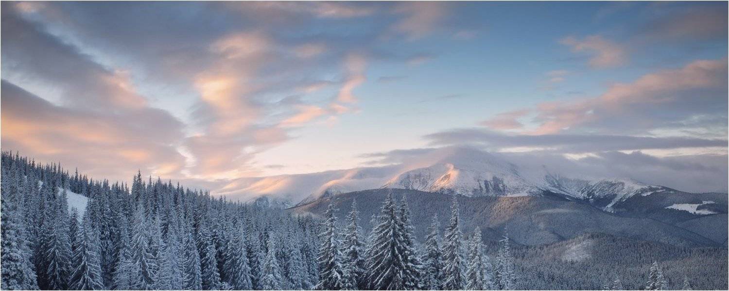 , Денис Кривой