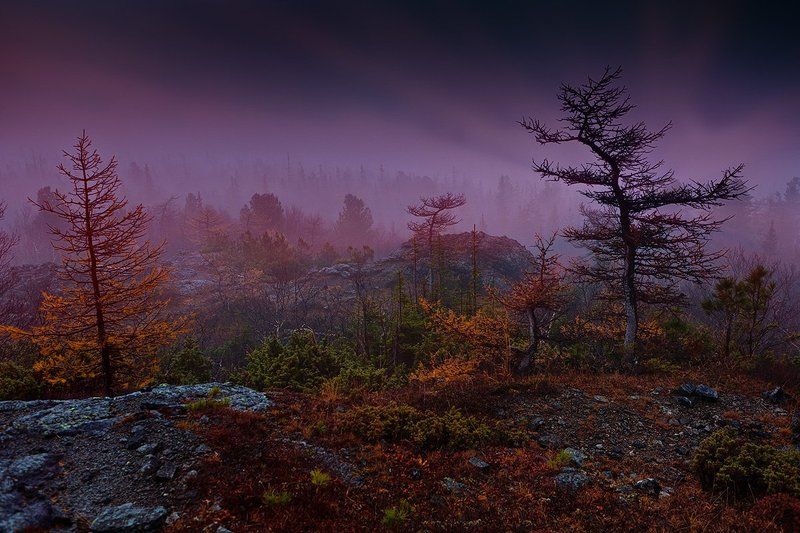 Тёмными ночами фото превью