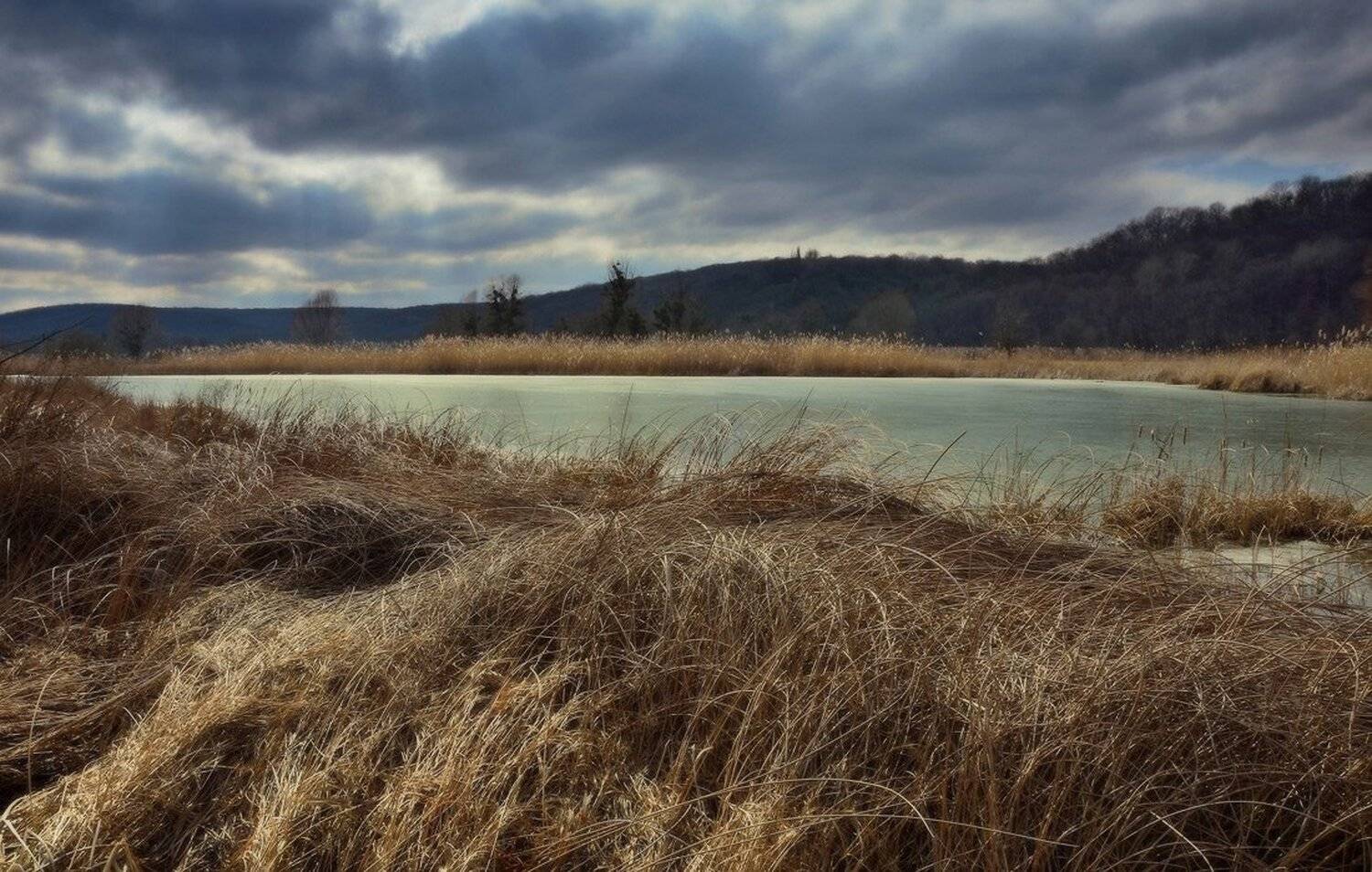 , Животков Андрей