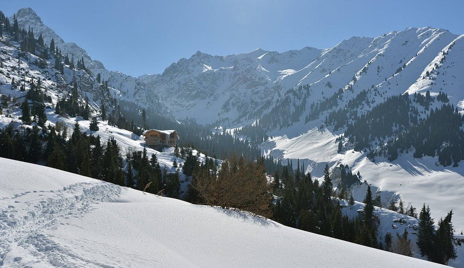 , Сергей Седов