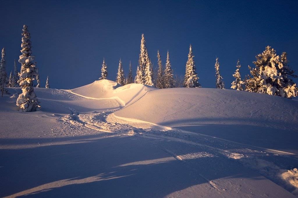 шерегеш, гора зеленая, утро, пихты, кедры, свет, тени, горная шория, Валерий Пешков
