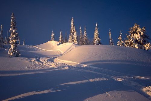 Pro одинокий след на склонах Горы Зелёная