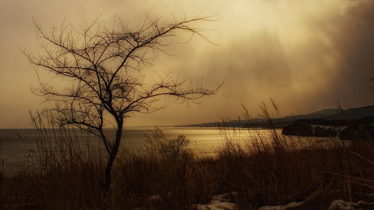 , олег сопов