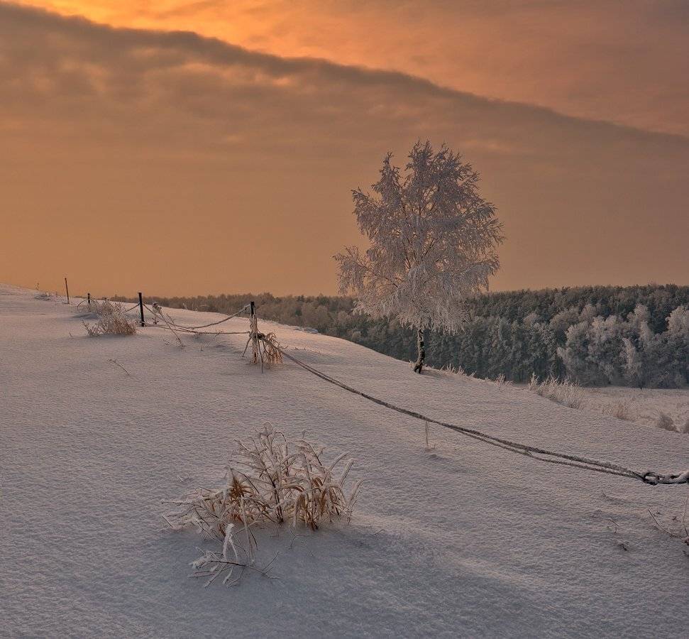 , Гелена Гленкова