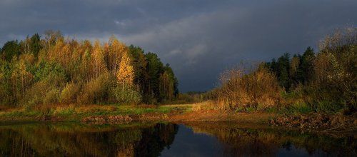 В утреннем свете