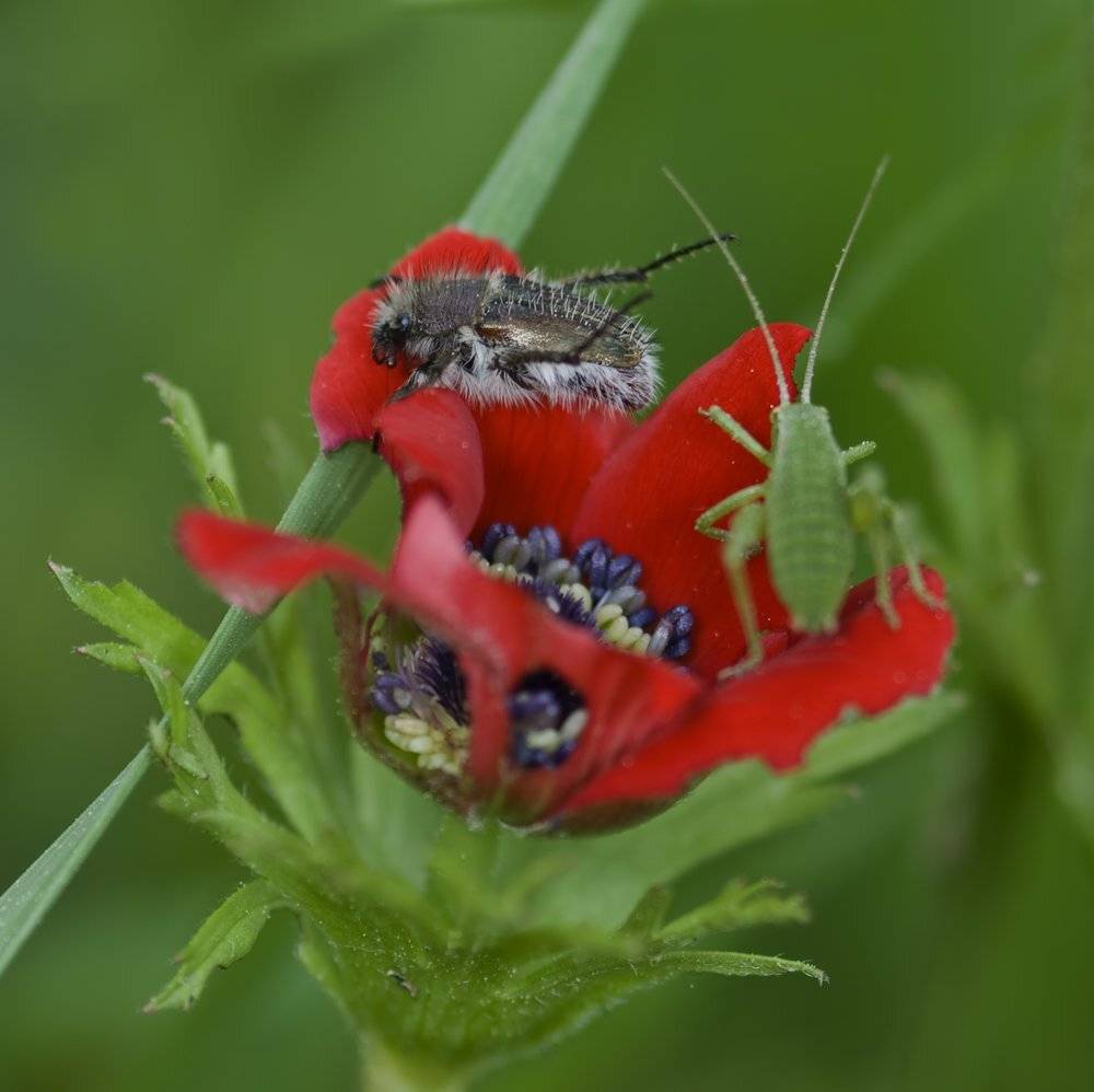 , Игорь ФУММ