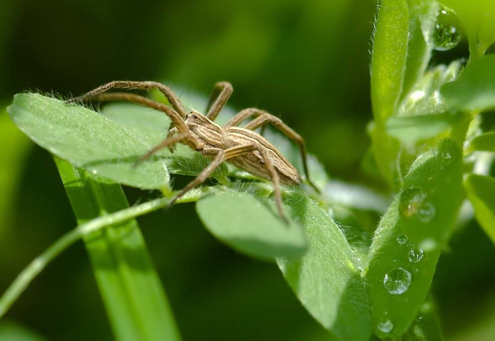 , Игорь ФУММ