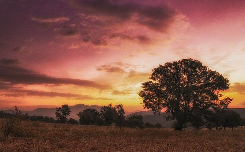 Рассвет. фото превью