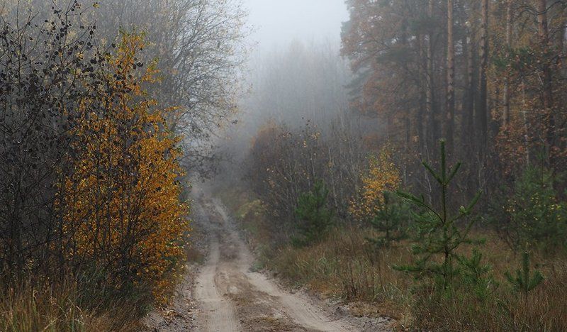 Осеннее настроение фото превью
