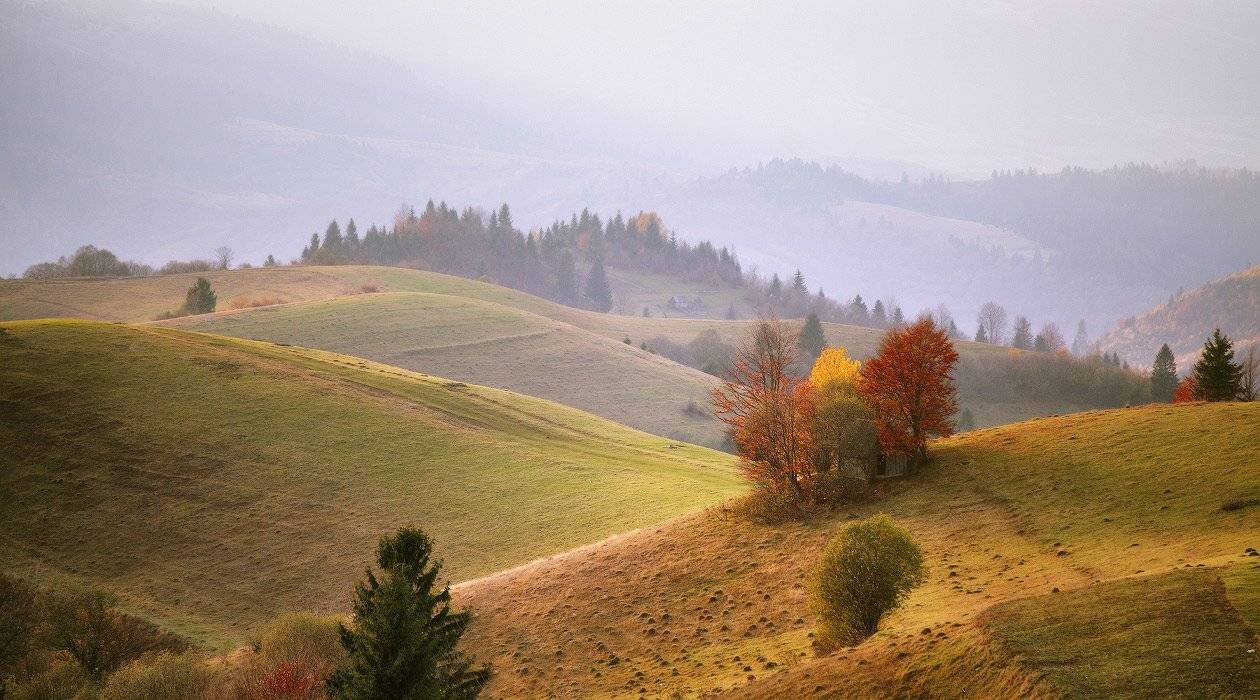карпаты, осень, ноябрь, Вейзе Максим