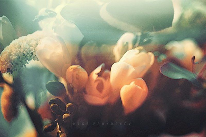 spring tenderness фото превью