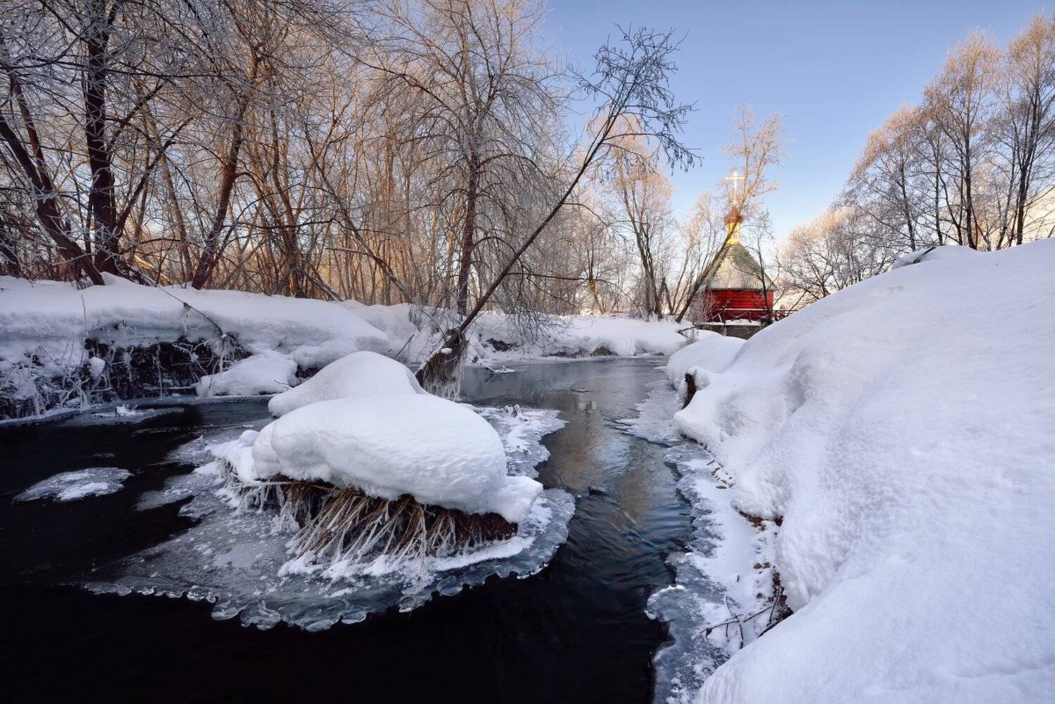 , Максим Евдокимов