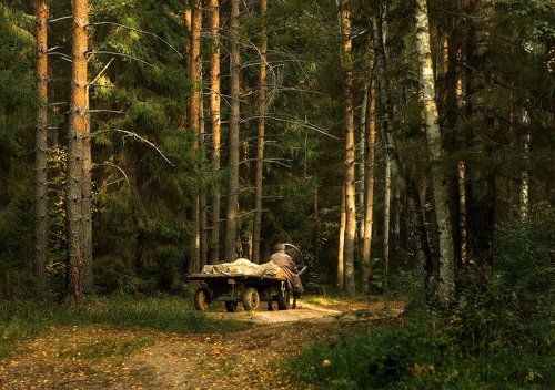 Из дальней деревни